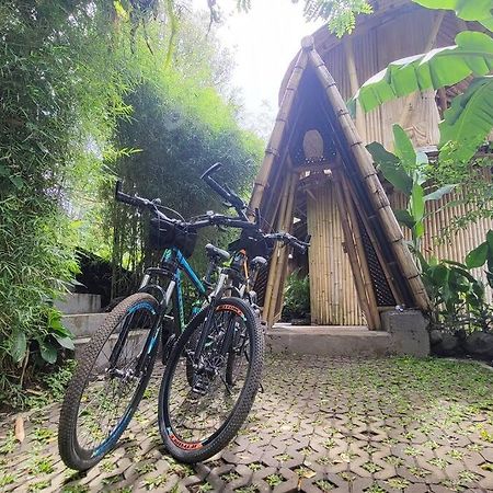 The Nude House Villa Selat Buitenkant foto