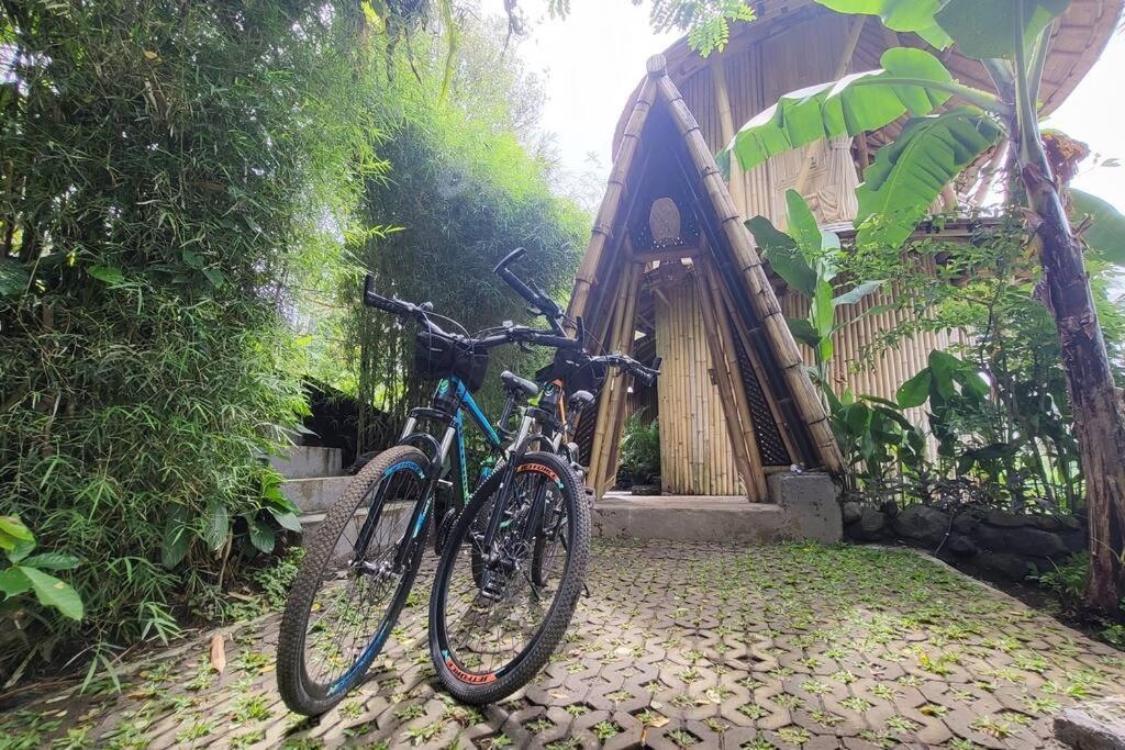The Nude House Villa Selat Buitenkant foto
