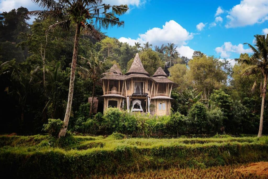 The Nude House Villa Selat Buitenkant foto